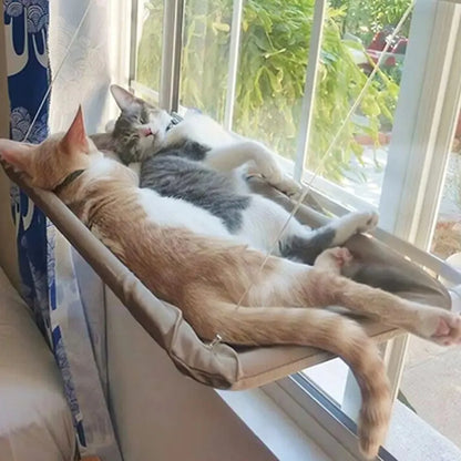 Sunny Window Hammock