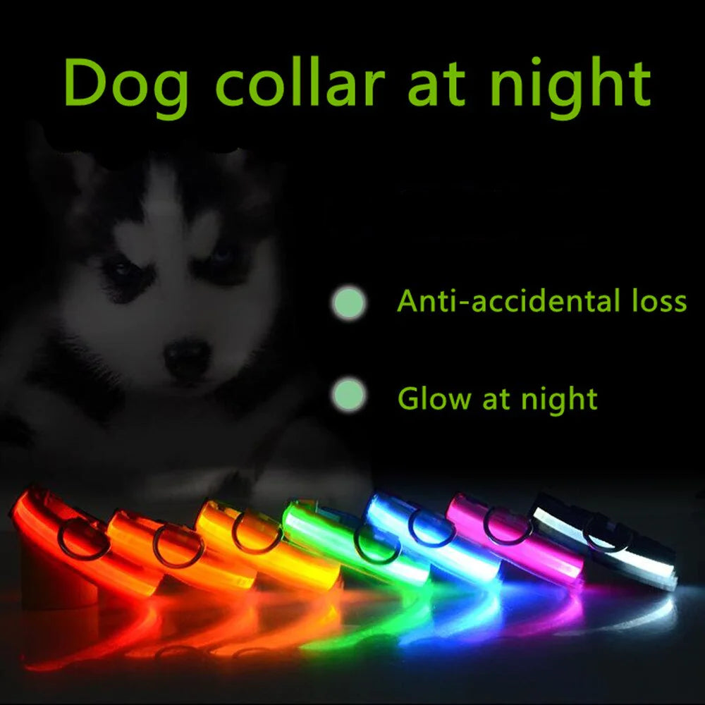 LED Adjustable Dog Collar - Blinking Flashing Light - Pet Safe & Waterproof