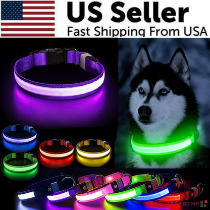 LED Adjustable Dog Collar - Blinking Flashing Light - Pet Safe & Waterproof