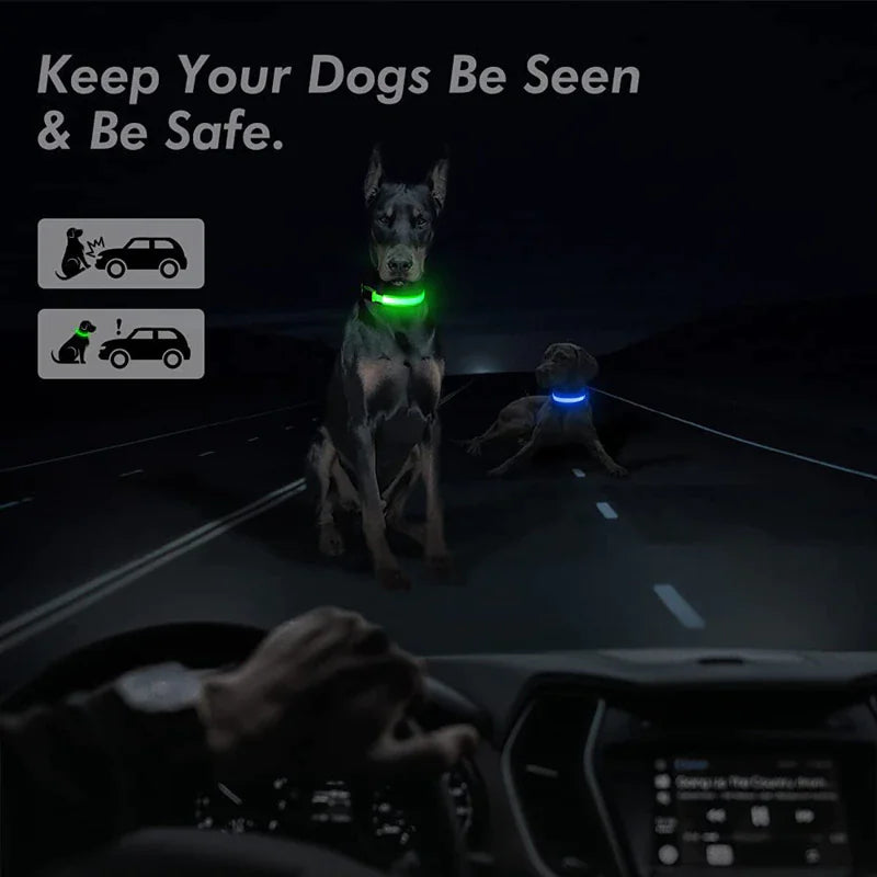 LED Adjustable Dog Collar - Blinking Flashing Light - Pet Safe & Waterproof