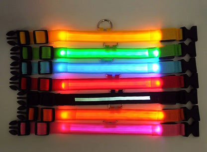 LED Adjustable Dog Collar - Blinking Flashing Light - Pet Safe & Waterproof