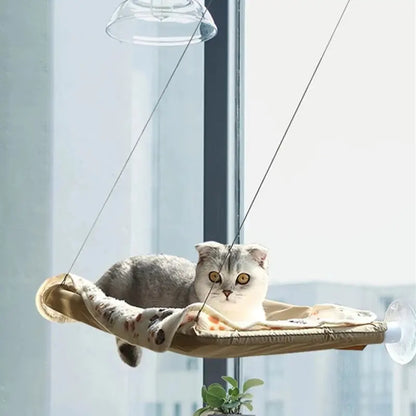 Sunny Window Hammock