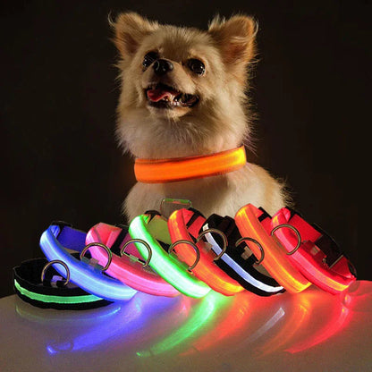 LED Adjustable Dog Collar - Blinking Flashing Light - Pet Safe & Waterproof